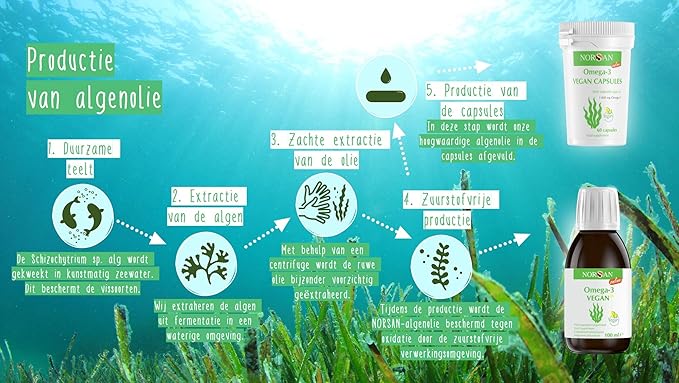 NORSAN | OMEGA-3 VEGAN OLIE | 100 ML