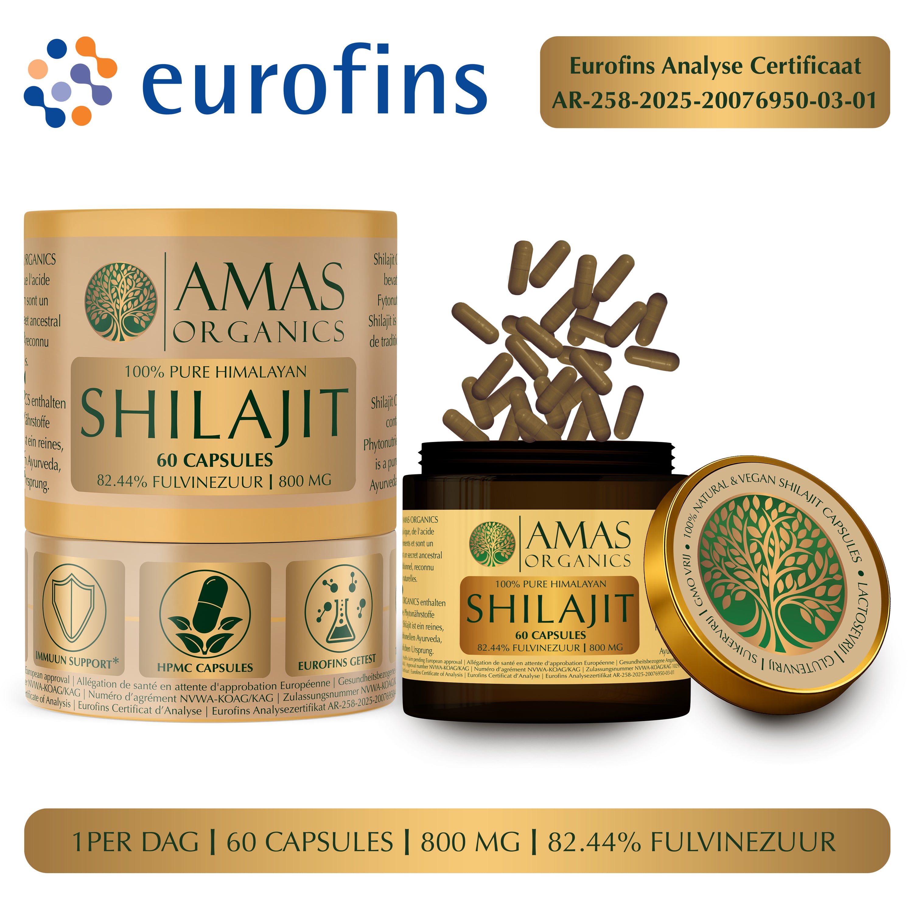 Shilajit Capsules - 60 stuks
