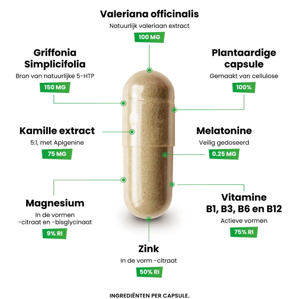 Nachtrust &amp; Stemming