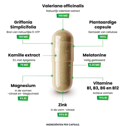 Nachtrust &amp; Stemming