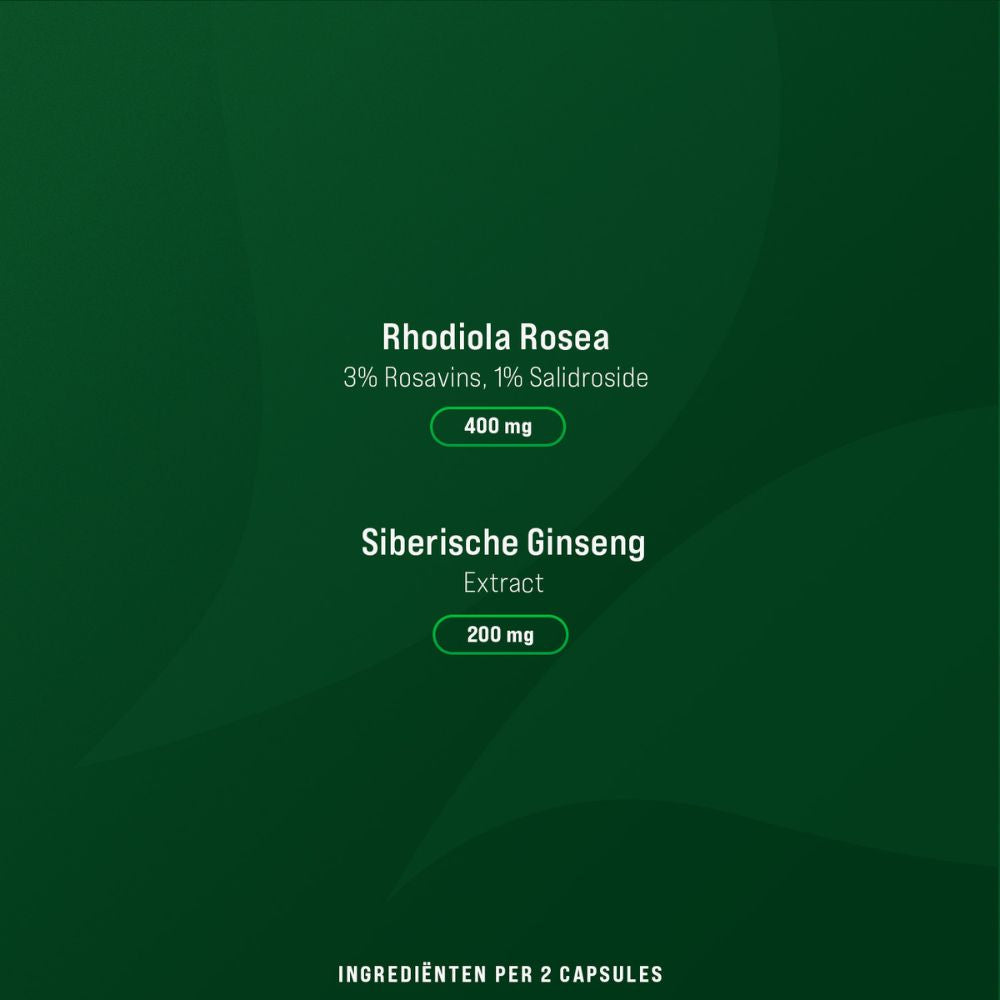Rhodiola &amp; Ginseng