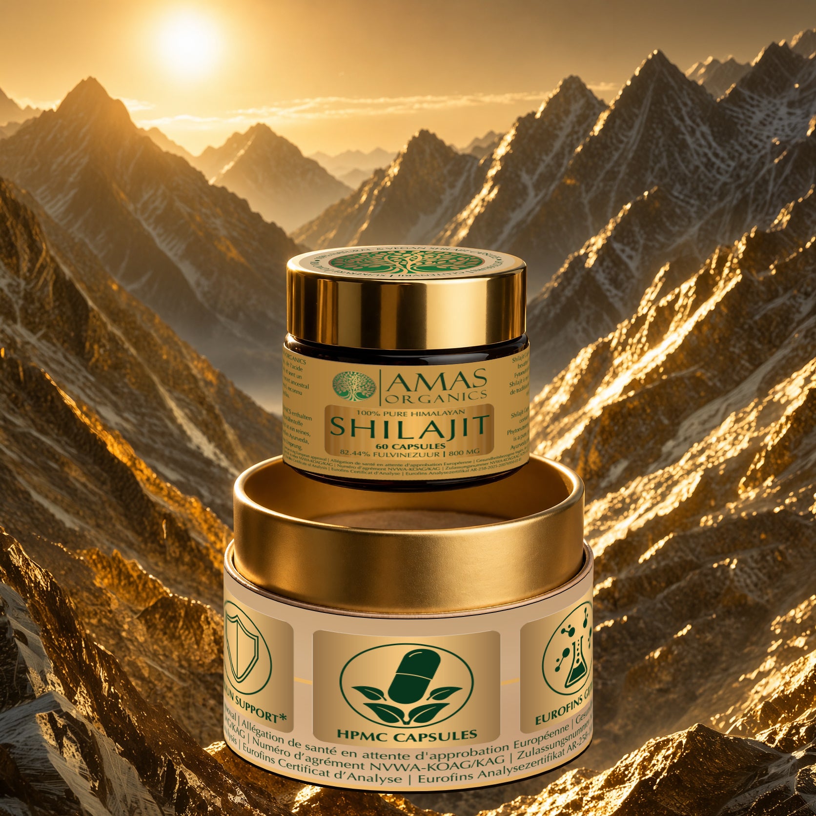 Shilajit Capsules - 60 stuks