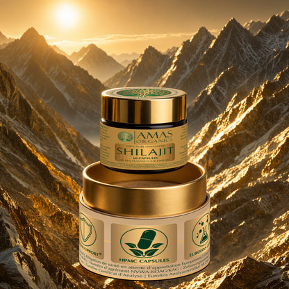 Shilajit Capsules - 60 stuks