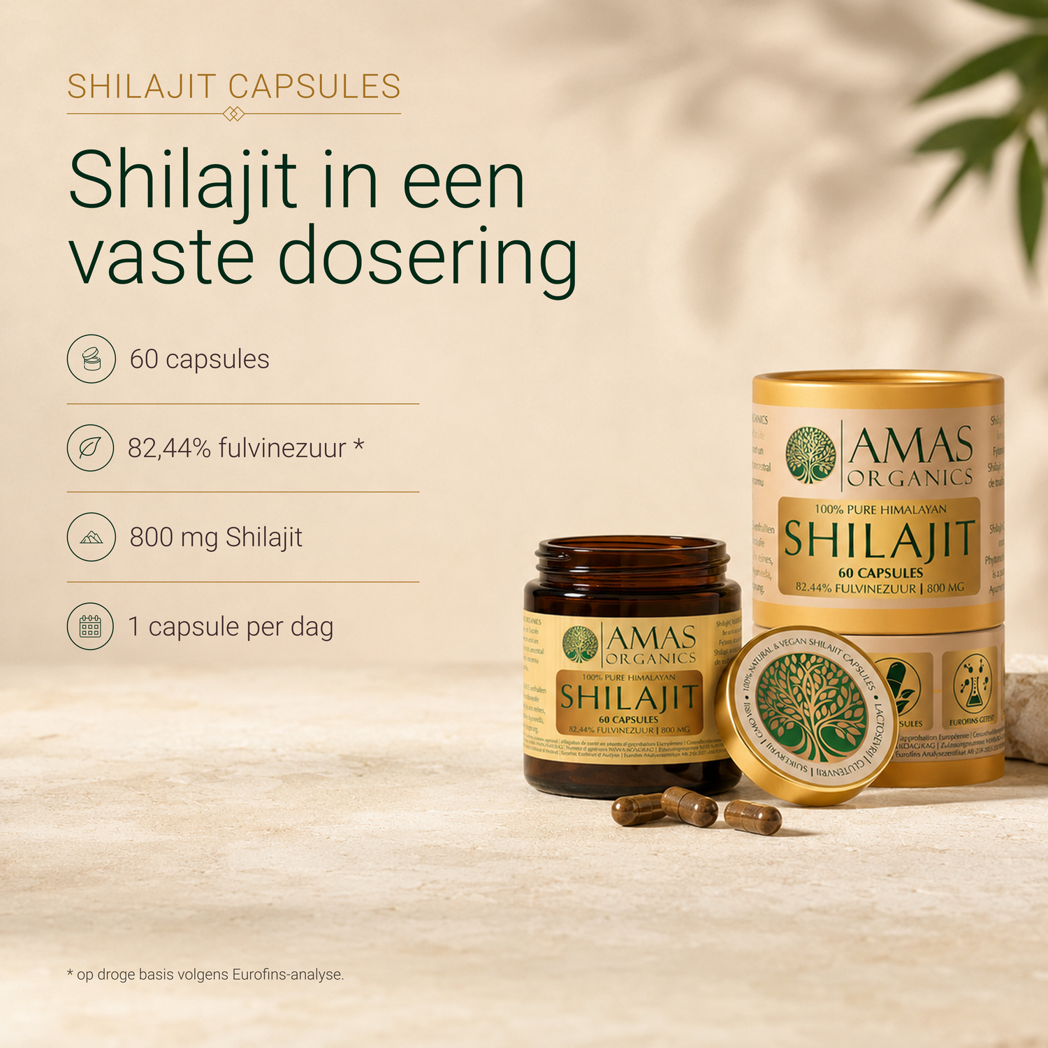 AMAS ORGANICS | CAPSULES DE SHILAJIT HIMALAYEN 100% PURS | BIO ET VÉGÉTALIEN