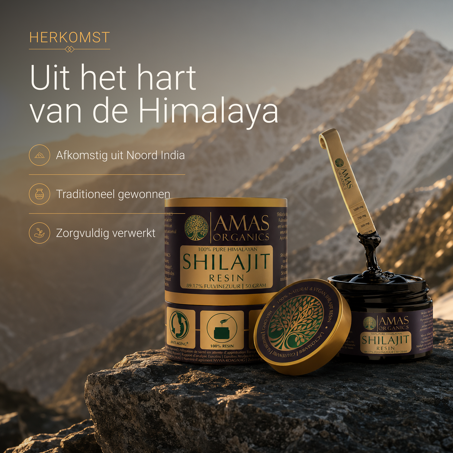 Shilajit Resin - 50 g