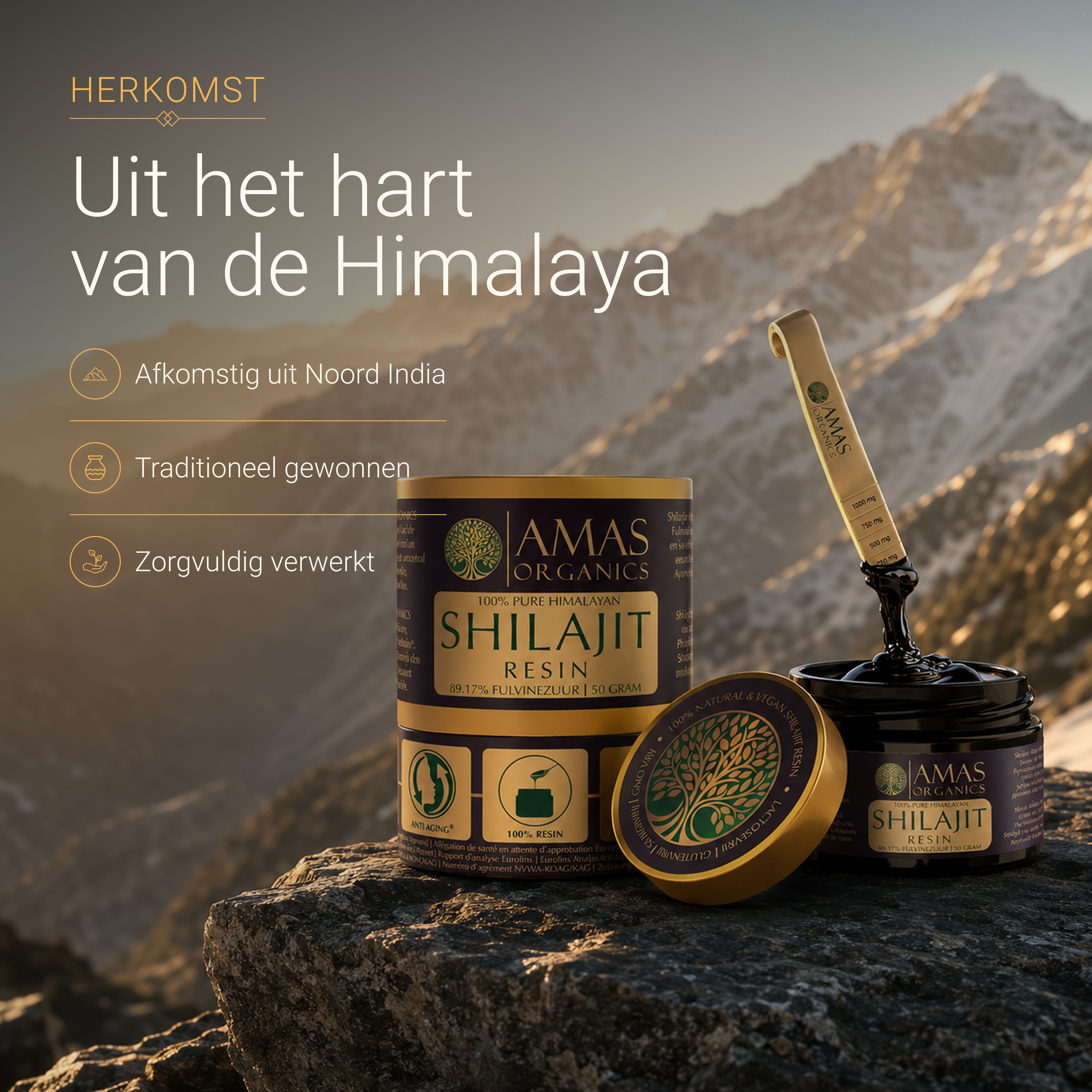 Shilajit Resin - 50 g