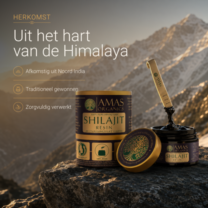 Shilajit Resin - 50 g