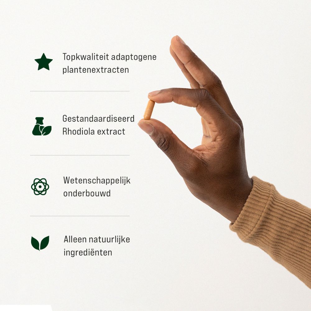 Rhodiola &amp; Ginseng